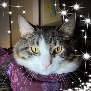 Meet your Posher, Jocelyn